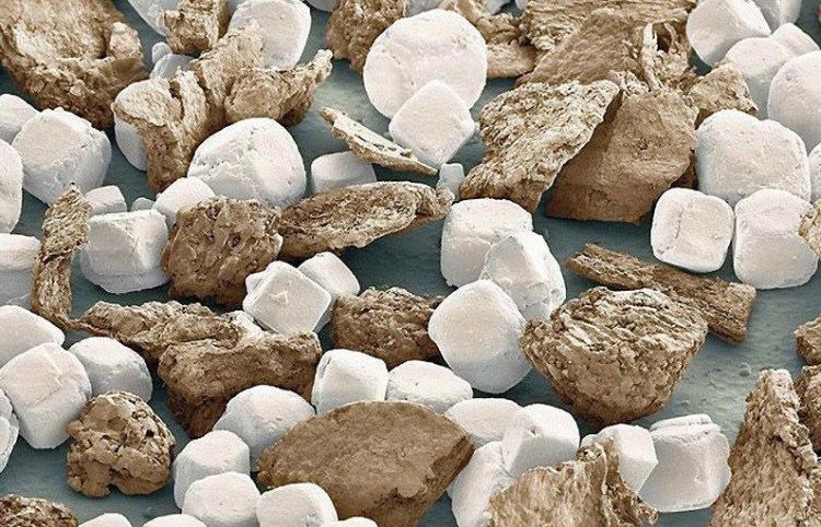 Соль и перец - 30+ Фотографий под Микроскопом Соль и перец - 30+ Фотографий под Микроскопом