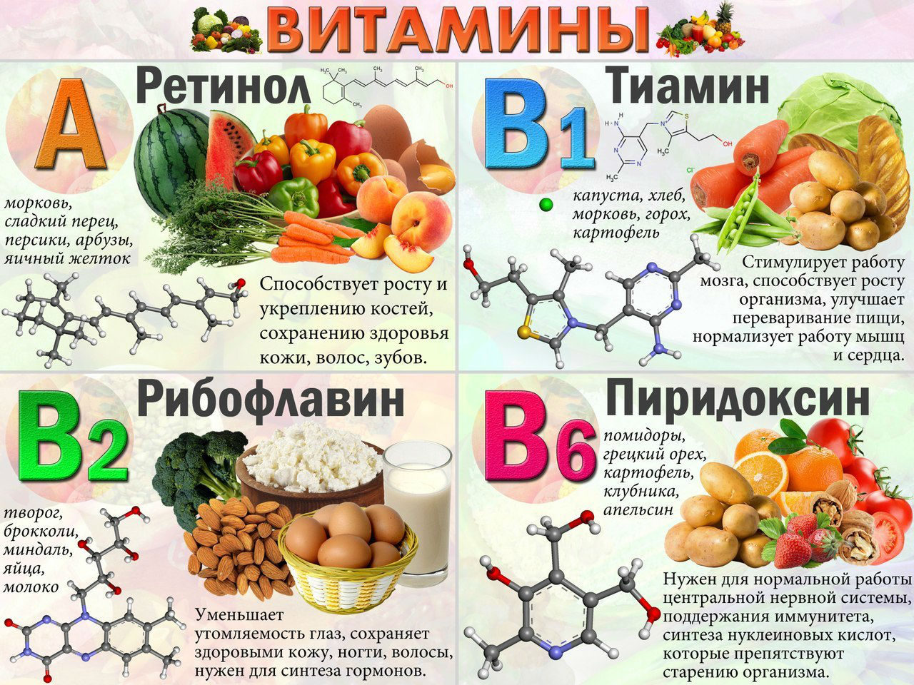 Инфографика Всё о витаминах