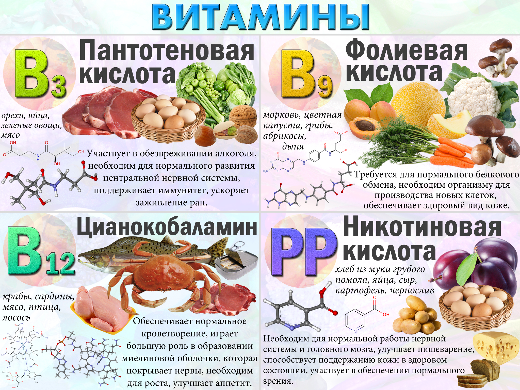 Инфографика Всё о витаминах
