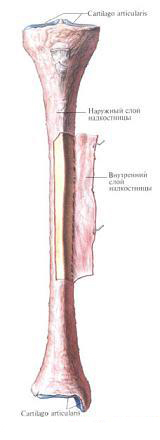 Рисунок 2