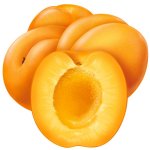 Абрикос обыкновенный - Armeniaca Vulgaris Абрикос обыкновенный - Armeniaca Vulgaris