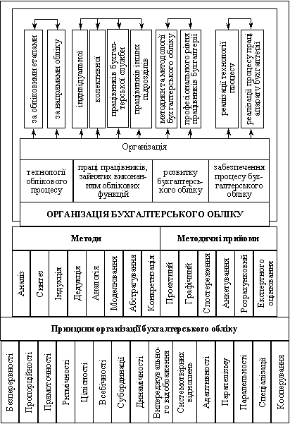 Поле впливу базових основ організації бухгалтерського обліку на її об’єкти