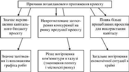 Можливі причини припинення проекту