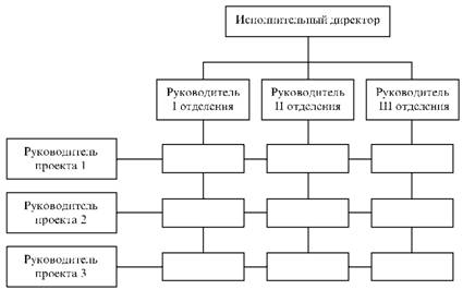Общий вид матричной структуры