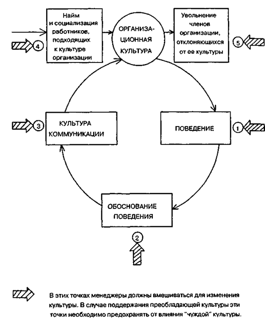 Модель воспроизводства организационной культуры
