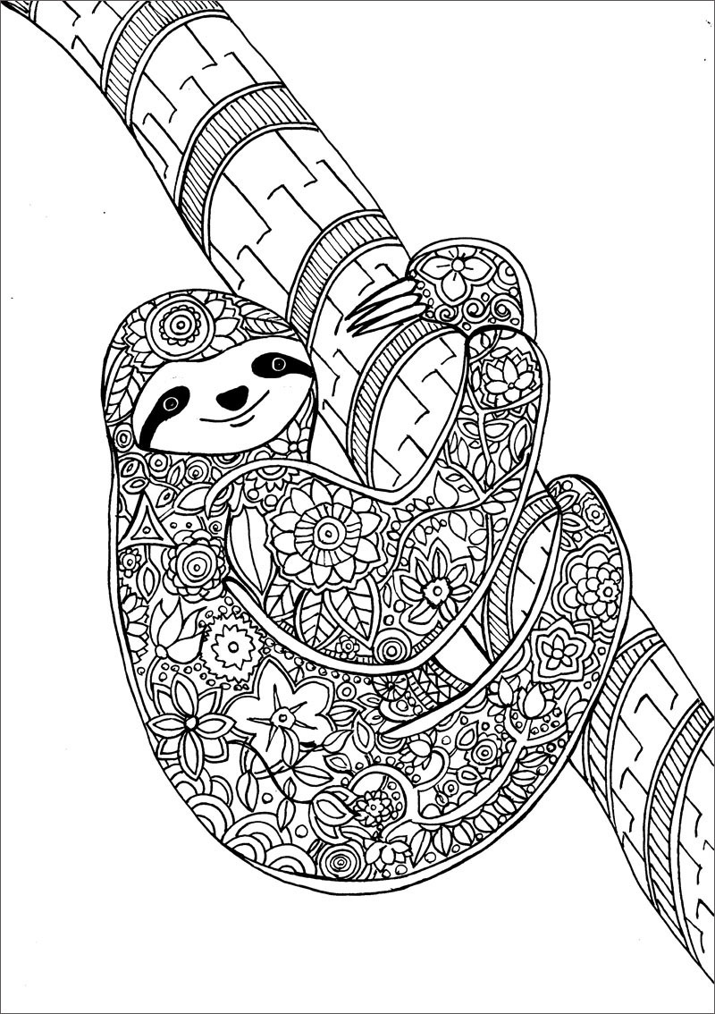 Коала - Раскраски для взрослых