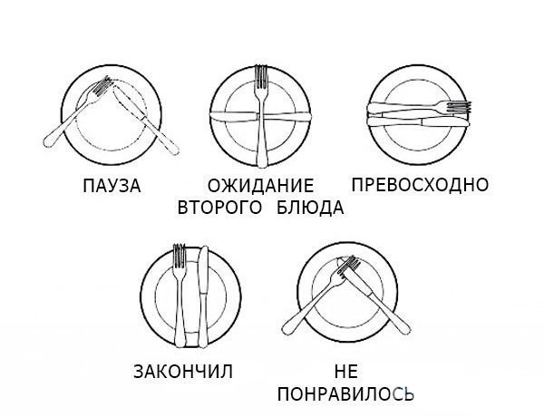 Основы сервировки стола