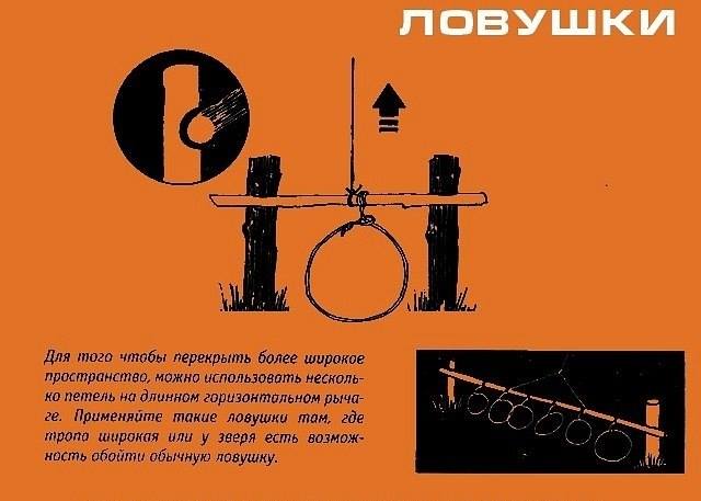 Инфографика