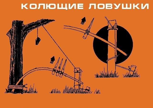 Инфографика