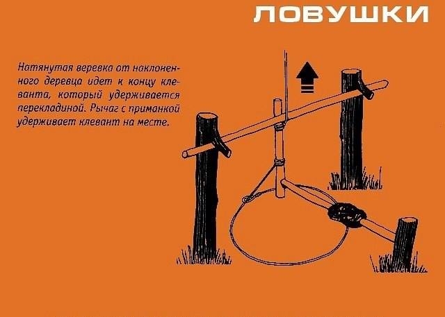 Инфографика