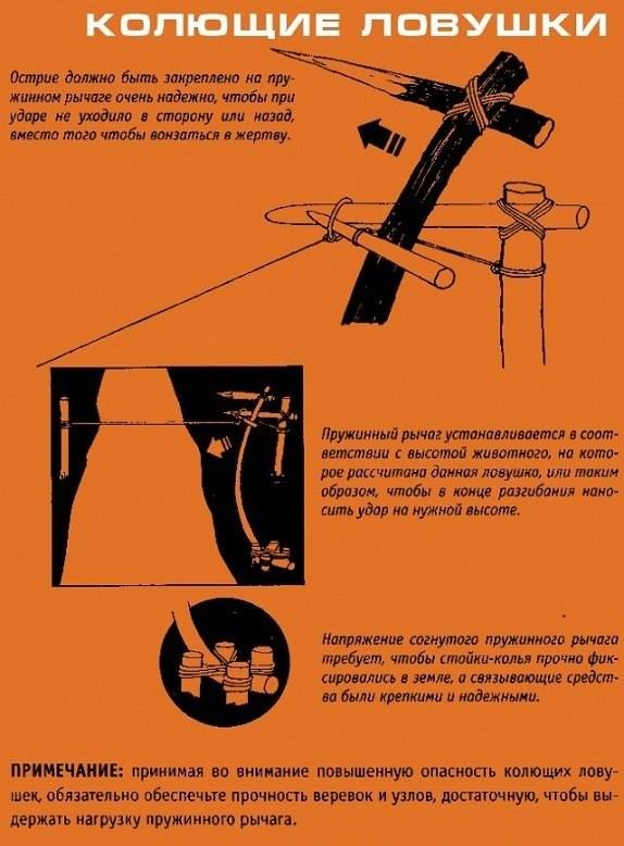 Инфографика