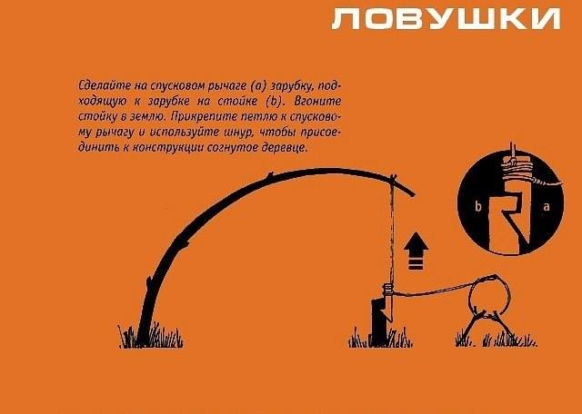 Инфографика