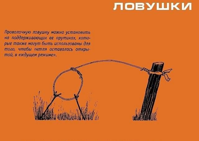 Инфографика