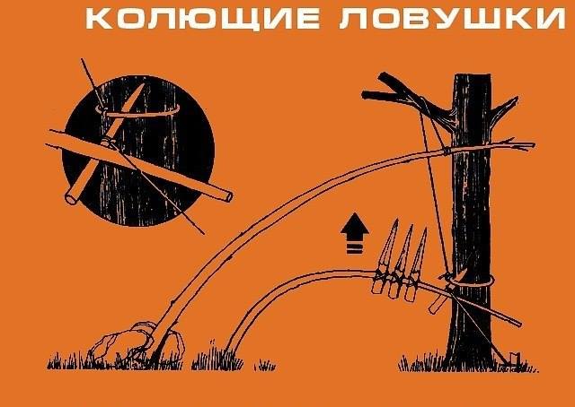 Инфографика