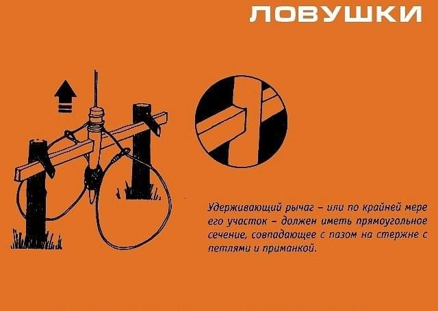 Инфографика
