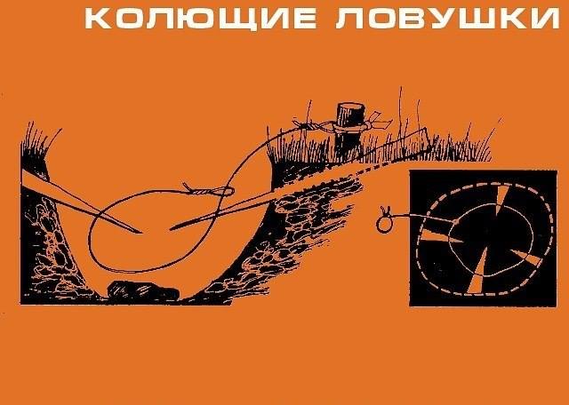 Инфографика