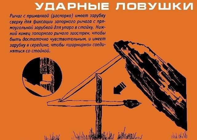 Инфографика