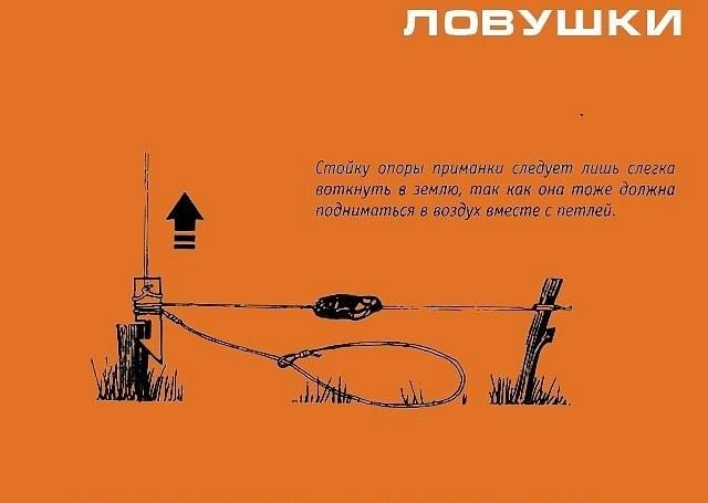 Инфографика