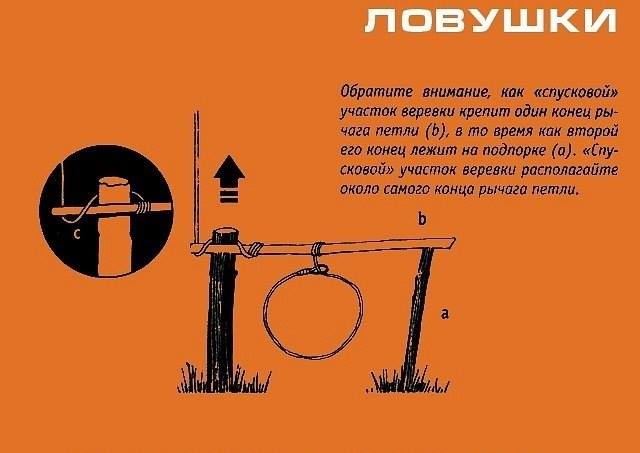 Инфографика