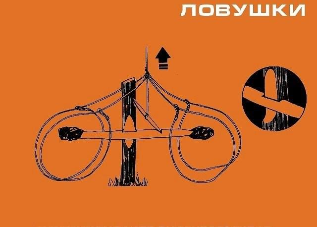 Инфографика