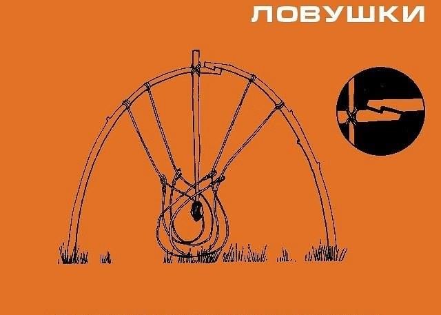 Инфографика