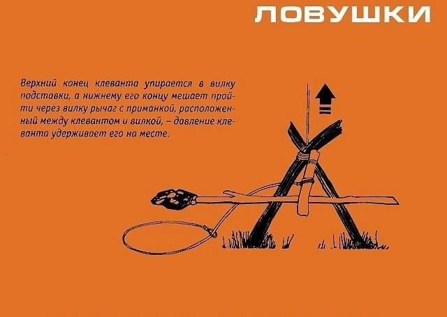 Инфографика