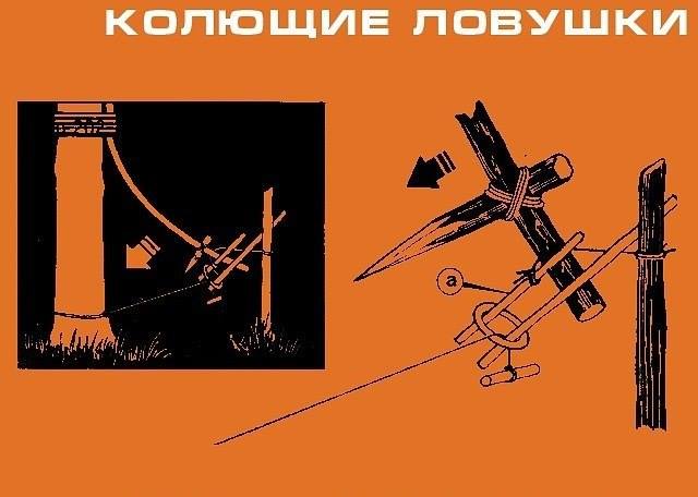 Инфографика