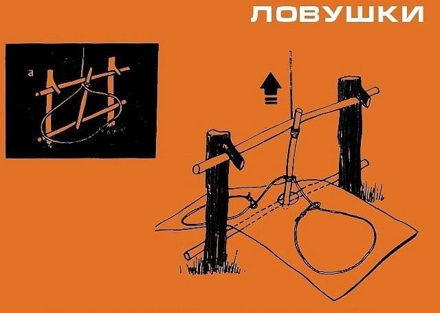 Инфографика