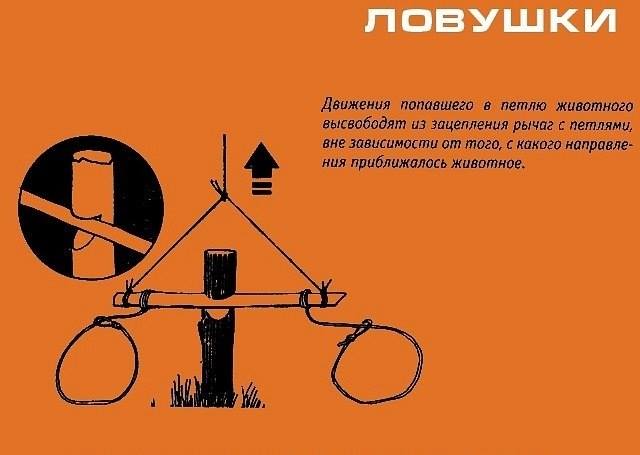 Инфографика